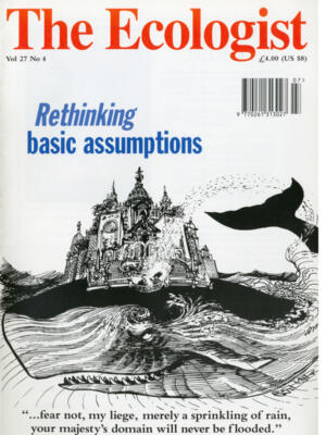 Cover of The Russian Far East: Foreign direct investment and environmental destruction